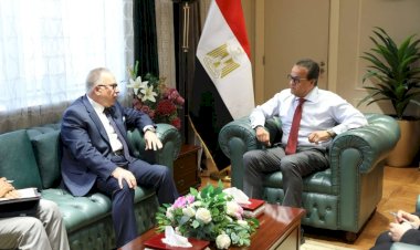 وزير الصحة يبحث مع الدكتور أسامة حمدي الأستاذ بجامعة هارفارد توسيع برامج التوعية بمرض السكري