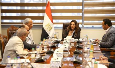 التنمية المحلية تنسق مع نواب البرلمان لدفع تنفيذ المشروعات الخدمية