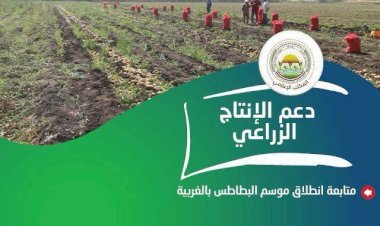 "الزراعة" تستعرض جهودها في دعم المزارعين وتحقيق الأمن الغذائي خلال الأسبوع الأول من أغسطس الجاري