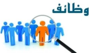 وزير العمل يعلن عن 1355 فرصة عمل جديدة في 7 محافظات بشراكة مع 22 شركة خاصة