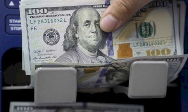 أسعار الدولار في مصر اليوم الأحد