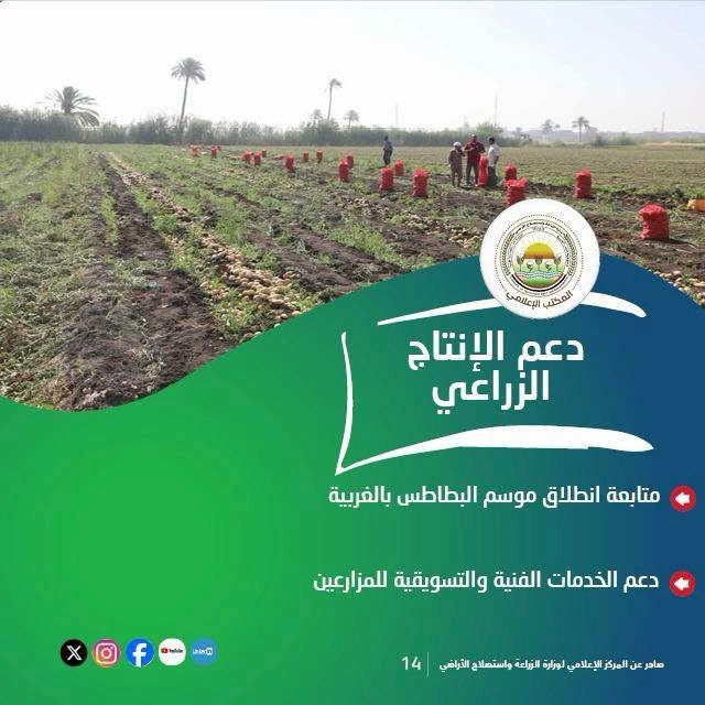 "الزراعة" تستعرض جهودها في دعم المزارعين وتحقيق الأمن الغذائي خلال الأسبوع الأول من أغسطس الجاري