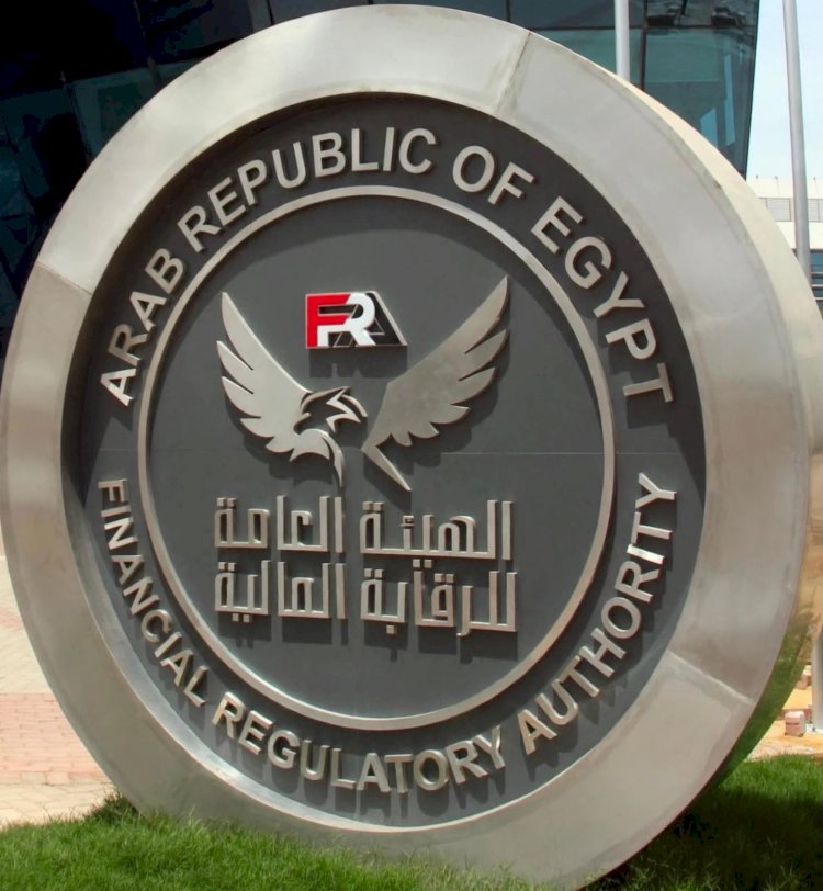 رئيس الرقابة المالية يوجّه بسرعة صرف تعويضات "التأمين الإلزامي" لأسر ضحايا ومصابي حادث الإسماعيلية