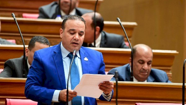 برلماني: حماية دخل المزارع أولوية.. والتسويق العادل مفتاح استقرار الزراعة