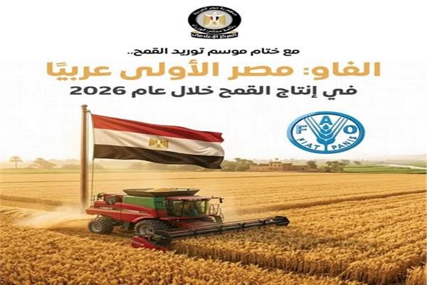المركز الإعلامي لمجلس الوزراء: مصر الأولى عربيًا في إنتاج القمح خلال عام 2026 وفقًا لتقديرات "الفاو"