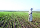 "الزراعة" تستعرض جهودها في دعم المزارعين وتحقيق الأمن الغذائي خلال الاسبوع الثالث من سبتمبر الجاري