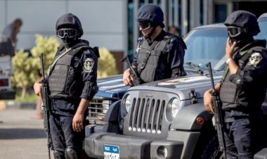 الداخلية تضبط 14 شركة غير مرخصة لإلحاق العمالة بالخارج