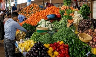 سعر الخضار والفاكهة اليوم الإثنين 7 سبتمبر في الأسواق