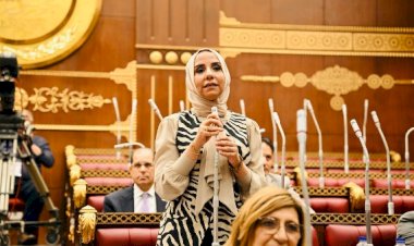 برلمانية: تهجير الفلسطينيين محاولة لتصفية القضية.. والموقف المصري حائط صد أمام مخططات الاحتلال