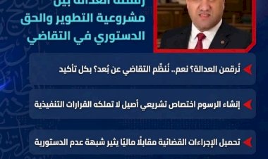 رقمنة العدالة بين مشروعية فرض الرسوم والحق الدستوري في التقاضي