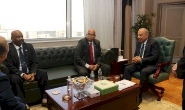وزير الكهرباء يبحث مع نظيره السوداني تعزيز التعاون لإعادة تأهيل الشبكات وتوفير الطاقة