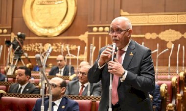 النائب حازم الجندي: «بريكس» فرصة لتعزيز الاستثمارات والصادرات وتوطين التكنولوجيا والصناعات في مصر