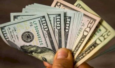 أسعار الدولار في مصر اليوم الإثنين 14سبتمبر