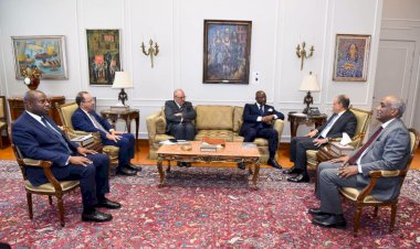 وزير الخارجية يستقبل رئيس البنك الأفريقي للتصدير والاستيراد لبحث التحضير لمنتدى «العلمين أفريقيا»