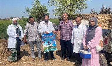 «الزراعة»: تقديم أكثر من 5.7 مليون جرعة تحصينية للماشية ضد «الحمى القلاعية» و«الوادي المتصدع» ضمن أعمال الحملة القومية حتى الآن