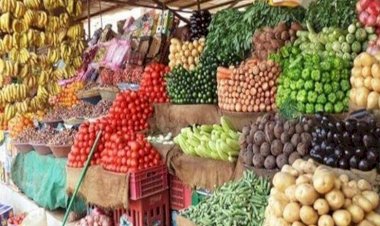 سعر الدواجن اليوم الإثنين 21 سبتمبر في الأسواق