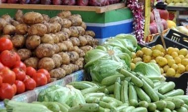 سعر الخضار والفاكهة اليوم الأربعاء 23 سبتمبر في مصر