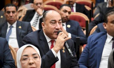 عضو الشيوخ: المرحلة الراهنة تفرض تعزيز التضامن العربي وتنسيق المواقف