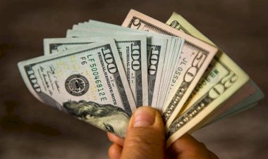 أسعار الدولار في مصر اليوم السبت 26 سبتمبر