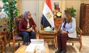 وزيرة التنمية تتابع مع محافظ الوادي الجديد المشروعات التنموية والخدمية والخطة الاستثمارية وملفات التصالح والتقنين