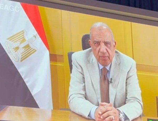 وزير الكهرباء: الاستخدامات السلمية للطاقة الذرية حقٌ أصيل لجميع الدول