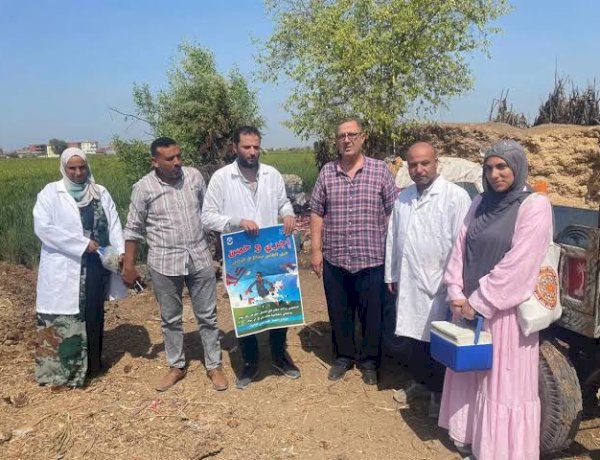 «الزراعة»: تقديم أكثر من 5.7 مليون جرعة تحصينية للماشية ضد «الحمى القلاعية» و«الوادي المتصدع» ضمن أعمال الحملة القومية حتى الآن