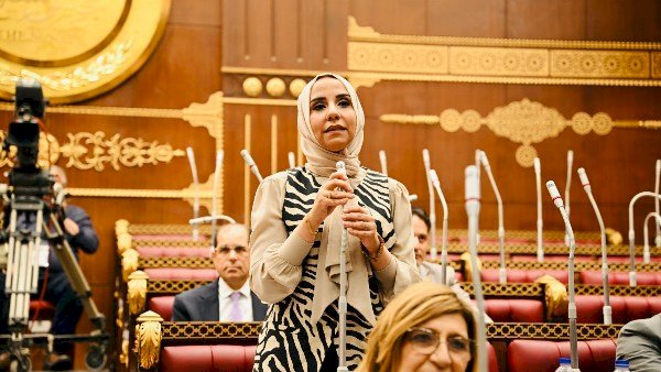 برلمانية: تهجير الفلسطينيين محاولة لتصفية القضية.. والموقف المصري حائط صد أمام مخططات الاحتلال