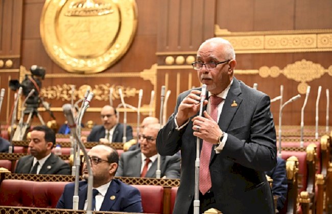 النائب حازم الجندي: «بريكس» فرصة لتعزيز الاستثمارات والصادرات وتوطين التكنولوجيا والصناعات في مصر