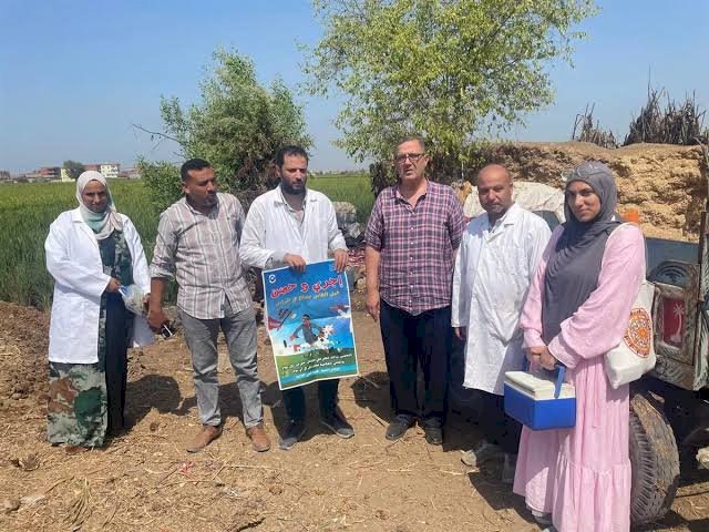 «الزراعة»: تقديم أكثر من 5.7 مليون جرعة تحصينية للماشية ضد «الحمى القلاعية» و«الوادي المتصدع» ضمن أعمال الحملة القومية حتى الآن
