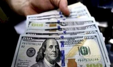 أسعار الدولار في مصر اليوم الجمعة 2 أكتوبر