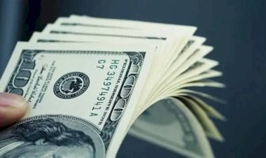 أسعار الدولار في مصر اليوم السبت 3 أكتوبر