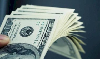 أسعار الدولار في مصر اليوم الثلاثاء 6 أكتوبر