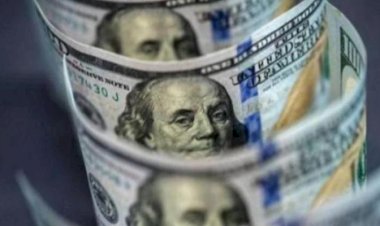 أسعار الدولار في مصر الخميس 15 أكتوبر