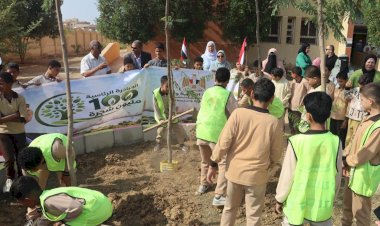 وزيرة التنمية المحلية والبيئة تعلن بدء توريد وزراعة 3620 شجرة بمحافظة بني سويف بالطرق والمحاور الرئيسية والمدارس