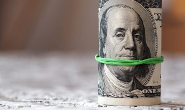 سعر الدولار يتجاوز 55 جنيهًا ويسجل أعلى مستوى في تاريخه خلال تعاملات اليوم