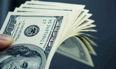 أسعار الدولار في مصر الجمعة 23 اكتوبر