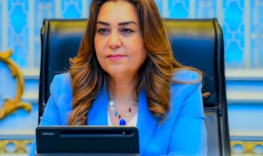وزيرة التنمية المحلية: نقل وتعيين عدد من سكرتيري العموم والمساعدين وتصعيد رؤساء مدن لوظائف قيادية