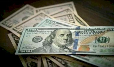 أسعار الدولار في مصر السبت 24  اكتوبر