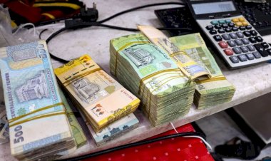 أسعار العملات في مصر اليوم السبت 24 أكتوبر