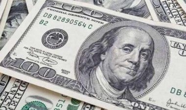أسعار الدولار في مصر الأحد 25  اكتوبر