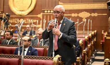 حازم الجندى يطالب بتوجيه العوائد الاستثمارية لقطاعات الصناعة والتكنولوجيا