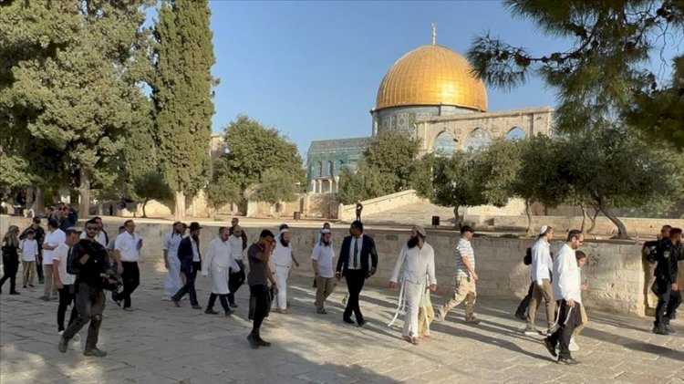 مصر تدين اقتحام المستوطنين الإسرائيليين للمسجد الأقصى المبارك
