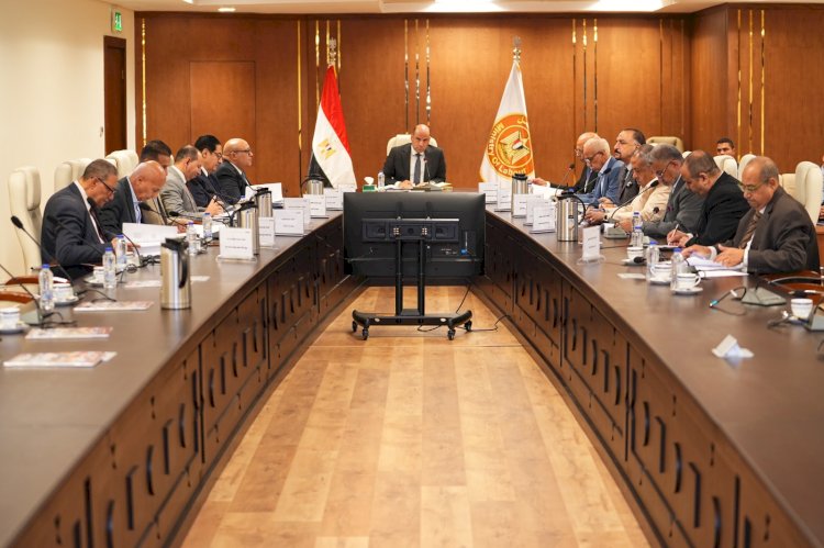 وزير العمل: 2.608 مليار جنيه إعانات طوارئ للعمال في 3999 منشأة منذ بدء نشاط "الصندوق