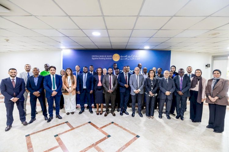 البنك المركزي يدعم قدرات البنوك المركزية بدول الكوميسا في " دمج المخاطر المناخية في اختبارات الضغوط الجزئية والكلية"