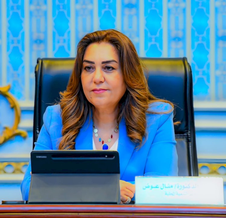 وزيرة التنمية المحلية: نقل وتعيين عدد من سكرتيري العموم والمساعدين وتصعيد رؤساء مدن لوظائف قيادية