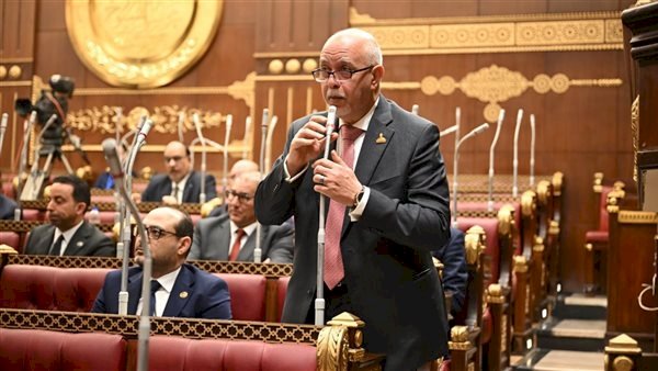 حازم الجندى يطالب بتوجيه العوائد الاستثمارية لقطاعات الصناعة والتكنولوجيا