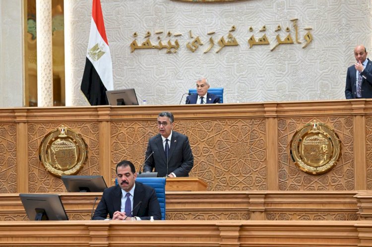 وزير التموين أمام الشيوخ: رفع السعات التخزينية للسلع إلى 6 ملايين طن بحلول 2030